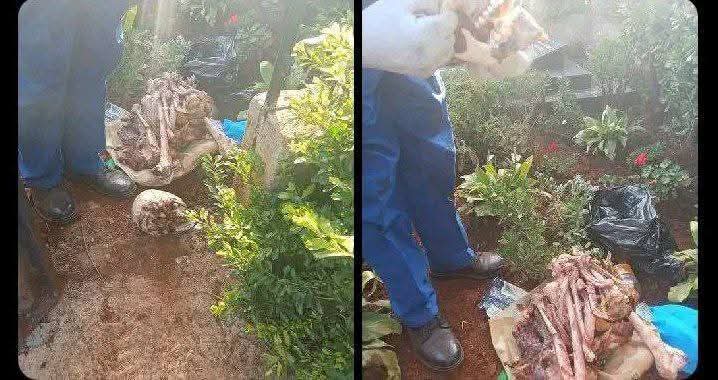 FB_IMG_1764198268514