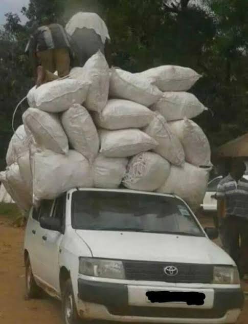 WhatsApp Image 2025-01-23 at 14.12.10_0a3ab66a