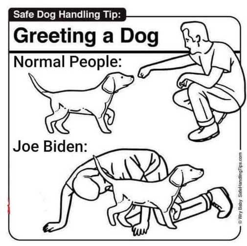 dog-safe-handling-normal-people-joe-biden