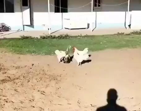 Leaked CS Video, 4Some Serious - Sex & Relationships - Kenya Talk